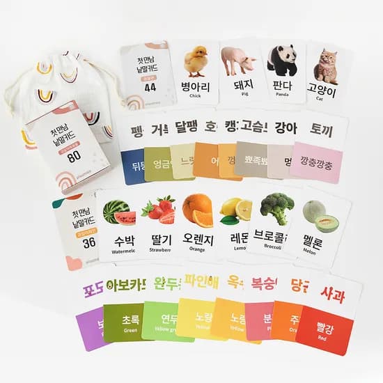 플레이맥스 첫만남 낱말카드 야채과일동물 80장 보관가방 세트 플래쉬카드 놀이