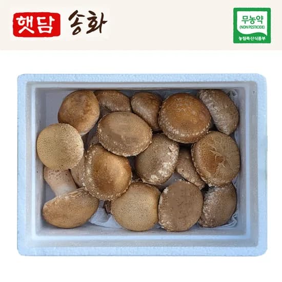 국내산 친환경 햇담송화 중급&고급형 대형마트 백화점등급 송이향 송화고버섯 송고