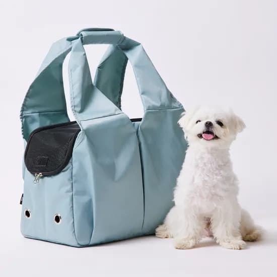 3651 이지캐리백 강아지 가방 고양이 이동장 캐리어 베이비 블루, 대형