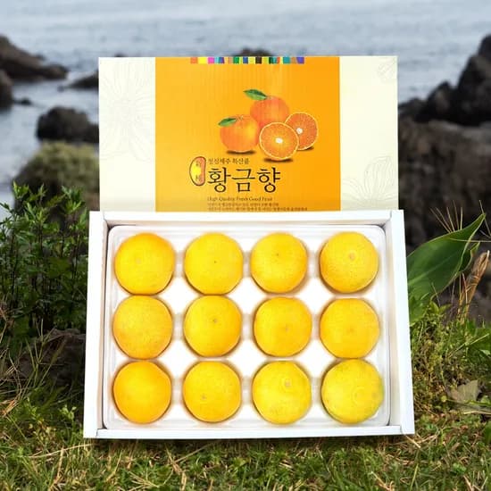 제주 황금향 3kg 외 1종