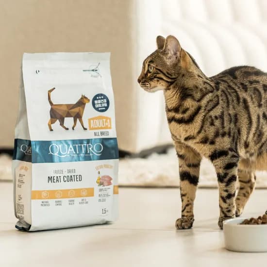 콰트로 동결건조 코팅 청정 자연 사료 고양이 중성화묘 1.5kg