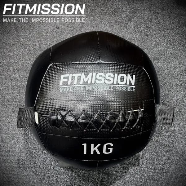 피트미션 월볼 1kg 크로스핏 웨이트볼 슬램볼