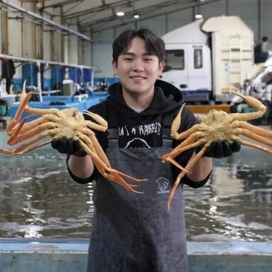 S급 살아있는 활 박달 대게
