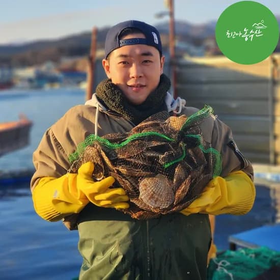 가리비 대왕 참가리비 국산 동해안 고성 수입산 회 캠핑요리 찜 구이 (예약발송)