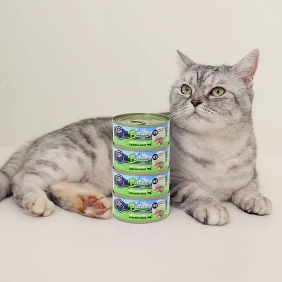 브리젠 뉴질랜드산 전연령 고양이 주식캔 습식사료 파테 치킨, 80g, 4개