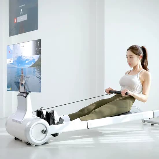 멜킨 로잉머신 싱크 듀얼포스 노젓기 전신 가정용 헬스장 유산소 게임 운동기구 조정 머신