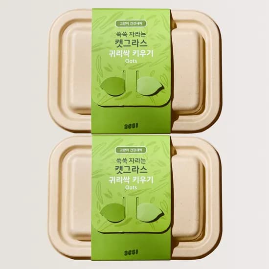3651 쑥쑥 자라는 캣그라스 키우기 키트 재배세트 귀리싹, 160g, 2개