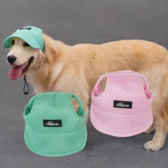 위드레오 애견모자 강아지 고양이 모자 그린 XS