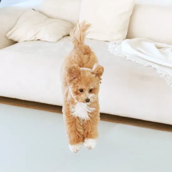 개놀자 슬림 실리콘 강아지 롤매트 고양이 미끄럼방지 매트 그레이, 140x200cm