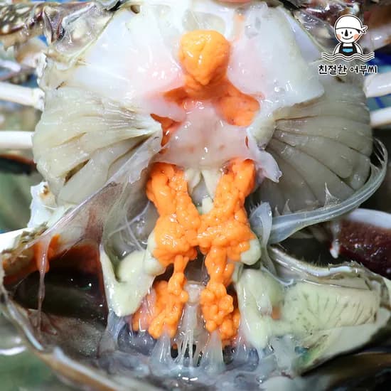 알배기 활 암꽃게 몽당 꽃게 1kg 생물 급냉