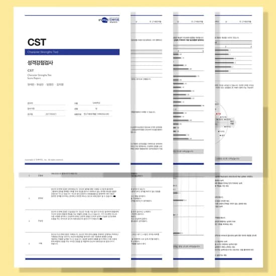 CST 강점 검사 (긍정심리학 24가지 성격 스트렝스 정식검사) 온라인 심리검사