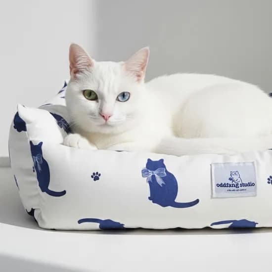 오드팡 고양이 라운지 소파 침대