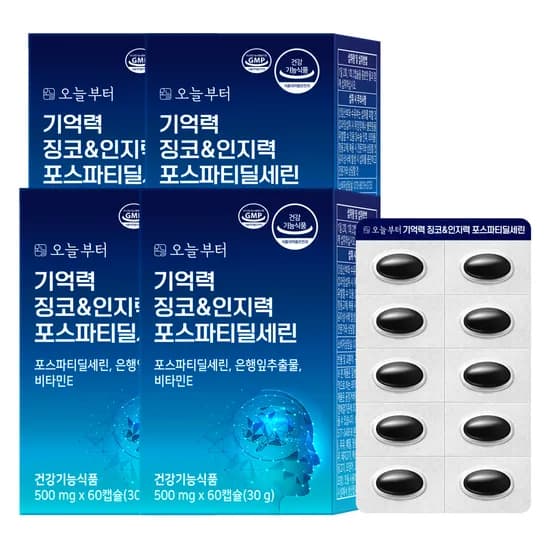 기억력 징코&인지력 포스파티딜세린 개선 두뇌 건강 영양제 60캡슐 4개