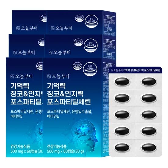 기억력 징코 인지력 포스파티딜세린 개선 두뇌 건강 영양제 60캡슐 6개