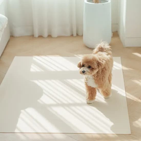 개놀자 슬림 실리콘 강아지 롤매트 고양이 미끄럼방지 매트 아이보리, 110x100cm