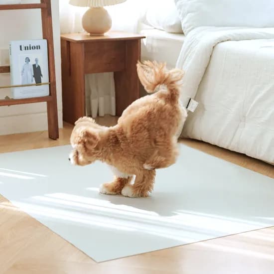 개놀자 슬림 실리콘 강아지 롤매트 고양이 미끄럼방지 매트 그레이, 110x100cm