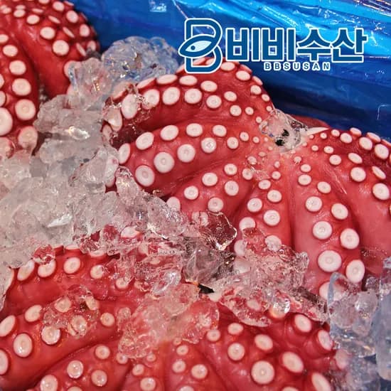 비비수산 자숙 문어 한마리 (냉동)