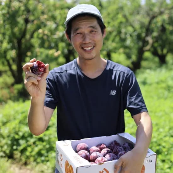 경산 와촌 후무사 추희 왕자두 1kg 2kg