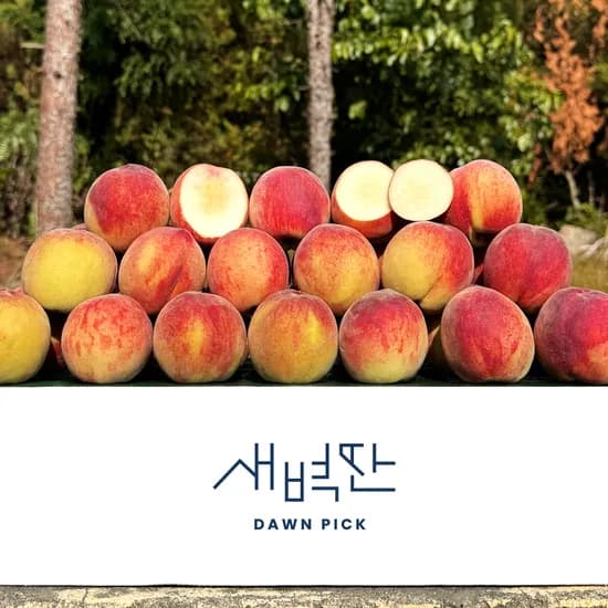 영천 황도 백도 아삭이 딱딱이 복숭아 2kg 4kg
