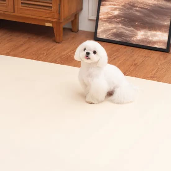 개놀자 슬림 실리콘 강아지 롤매트 고양이 미끄럼방지 매트 아이보리, 140x400cm