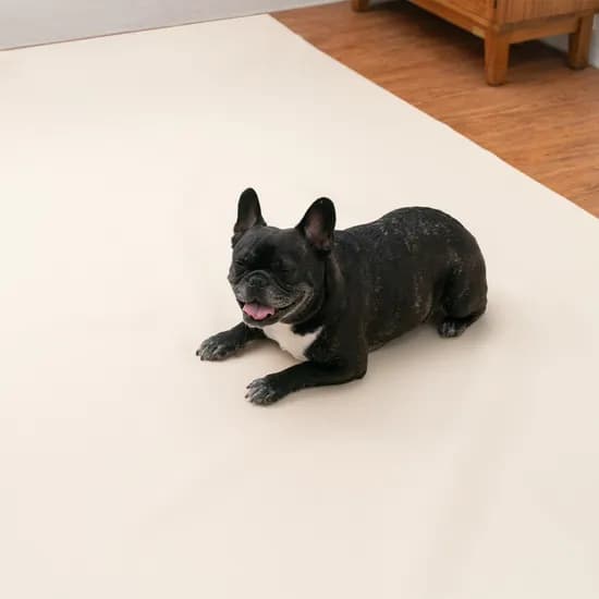 개놀자 슬림 실리콘 강아지 롤매트 고양이 미끄럼방지 매트 아이보리, 140x500cm