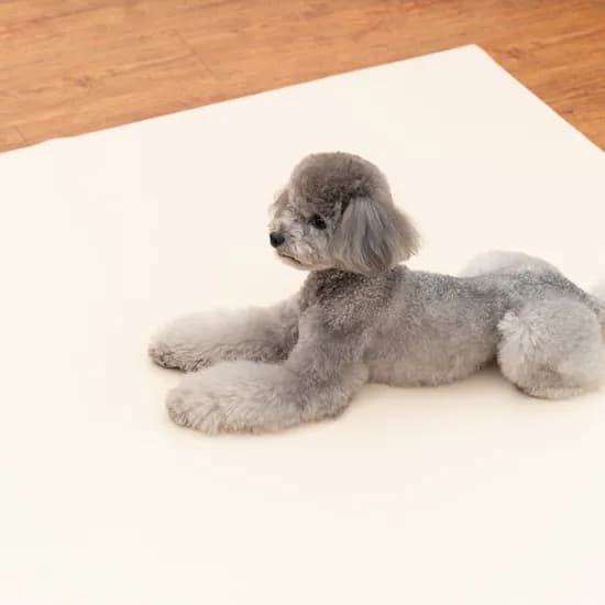 개놀자 슬림 실리콘 강아지 롤매트 고양이 미끄럼방지 매트 아이보리, 110x400cm