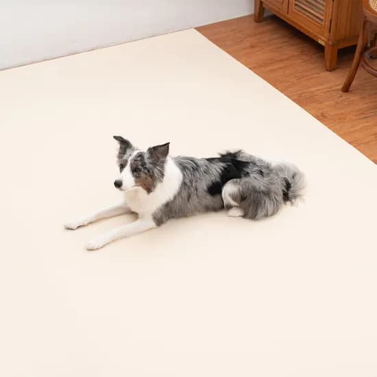 개놀자 슬림 실리콘 강아지 롤매트 고양이 미끄럼방지 매트 아이보리, 110x500cm