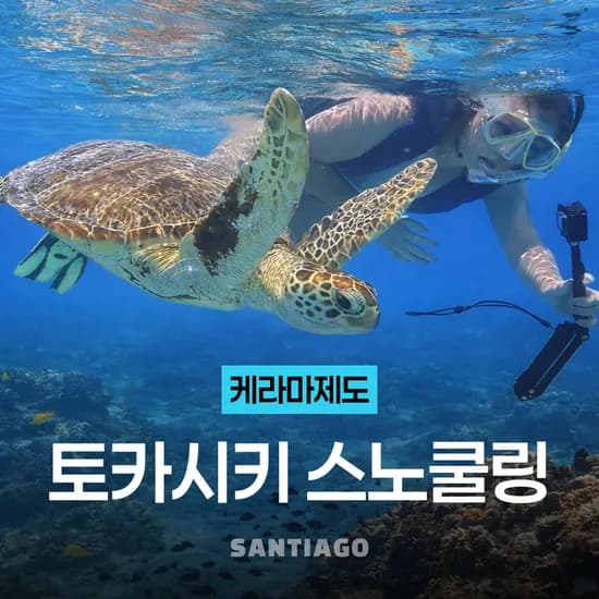 오키나와 스노쿨링 나하 케라마 제도 토카시키섬 일일 호핑 투어 바다 거북이 아하렌 비치 점심식사 포함