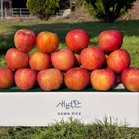 청송 얼음골 홍로 사과 2kg 외 1종