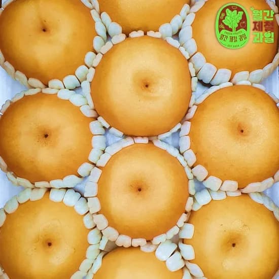 나주 원예농협 신고배 햇배 황금배 돌배 제수용배 선물 5kg