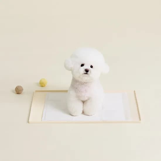 울리 도트 실리콘 배변매트 강아지 배변판 식기매트 60