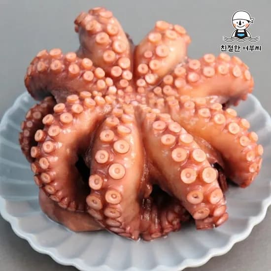 자숙 문어 돌문어 숙회 냉동 자연산 손질 1미 1kg