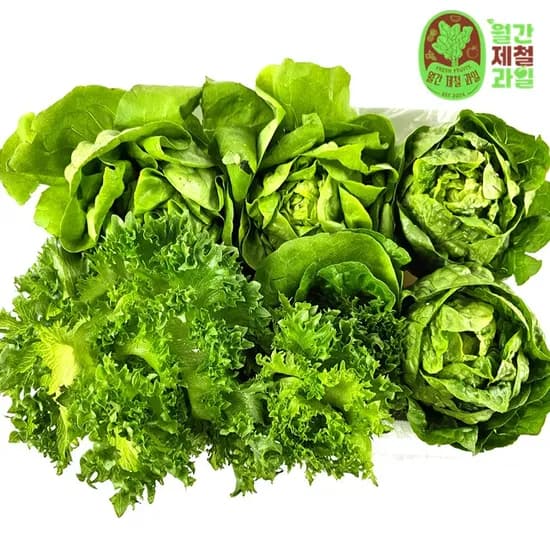 유러피안 샐러드 채소 1kg
