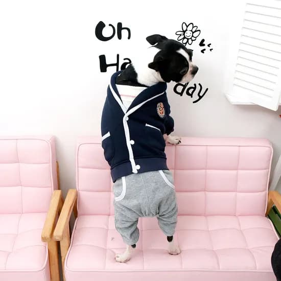 강아지올인원 창고 대개방 교복올인원