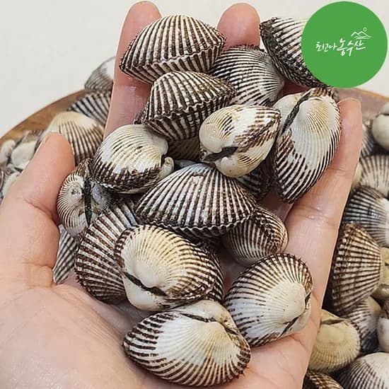 벌교 꼬막 새꼬막 피꼬막 참꼬막 여자만 당일조업 3kg