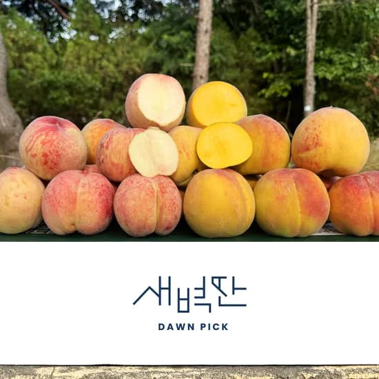 경북 백도 황도 말랑이 딱딱이 복숭아 2kg 4kg