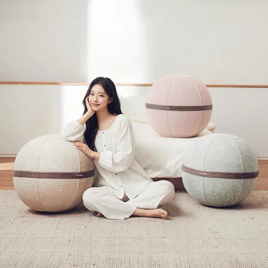 엑사이더 EY300 밸런스볼 체어 코어 허리 운동 의자 임산부 바운서 자세 균형 교정 홈트