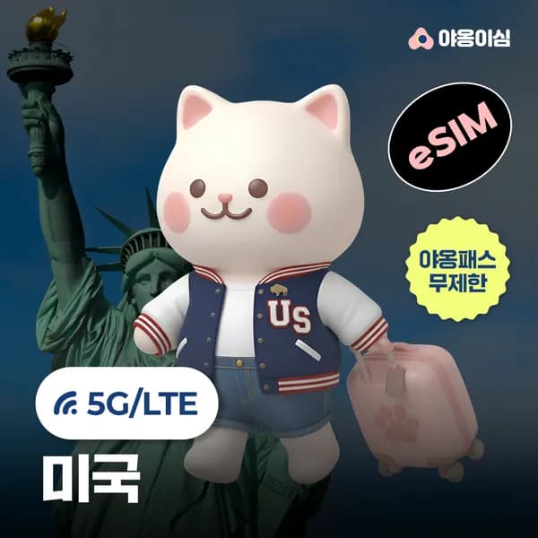 미국이심 eSIM 1일 500MB 데이터 무제한 뉴욕 LA 하와이