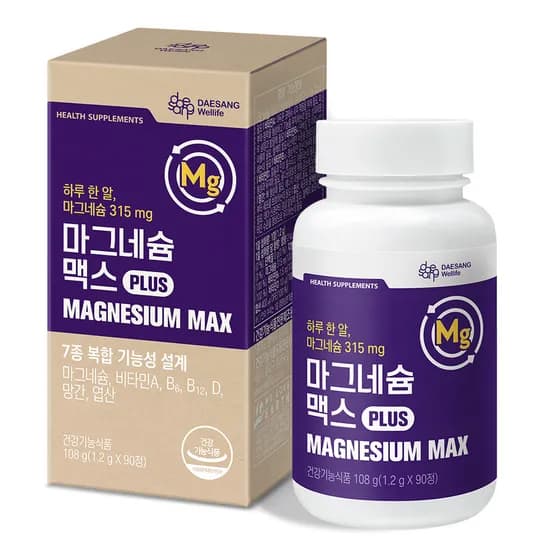 웰라이프 마그네슘 맥스 1.2g 90정, 2개