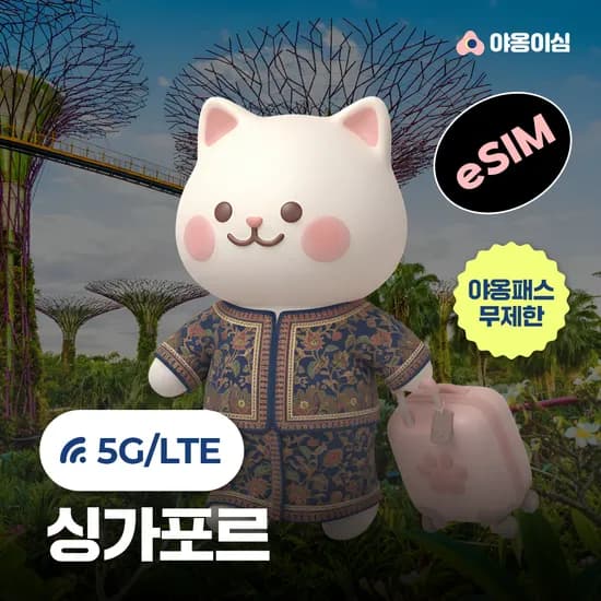 싱가포르이심 eSIM 1일 500MB 데이터 무제한