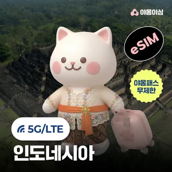 인도네시아 eSIM 1일 500MB 데이터 무제한 발리 자카르타 150원