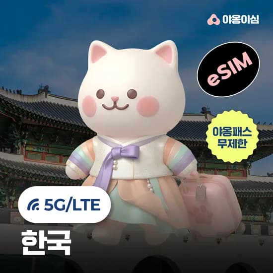 한국이심 대한민국 eSIM 외국인 유학생 1일 500MB 데이터 무제한 서울 부산 제주