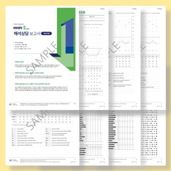 MMPI-2 다면적 인성검사 (8P 결과지 + 4P 해석보고서 + 25P 맞춤 리포트)