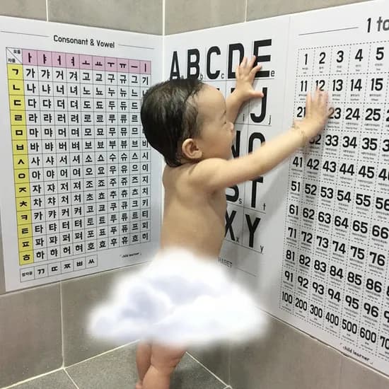 방수 아기벽보 한글포스터 숫자 알파벳 유아 벽그림 A3소형 학습 5종세트