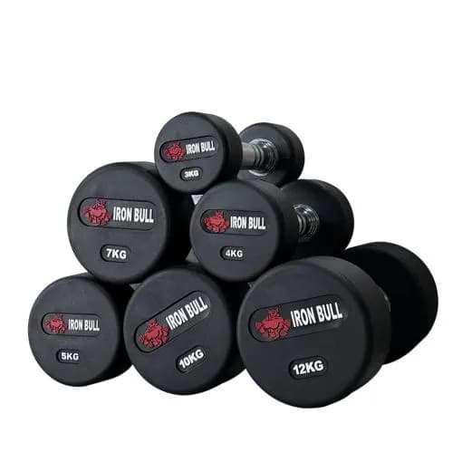 아이언불 덤벨 3kg 아령 헬스장 세트