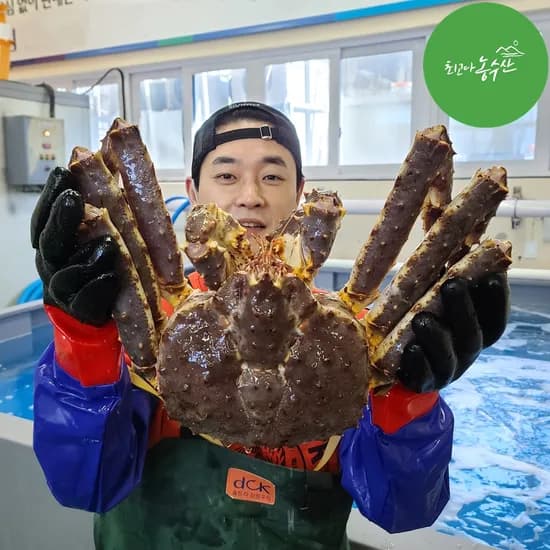 러시아 동해 속초 활 대왕 블루 킹크랩 자숙 선어 활어 1kg