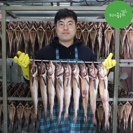 속초 코다리 찜 조림 깔끔코다리 강정 구이 냉동 손질 절단 특대