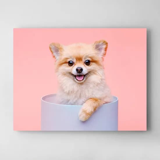 강아지 그림 액자 캔버스 비숑 푸들 포메라니안 웰시코기 말티즈 퍼그 포스터 A4