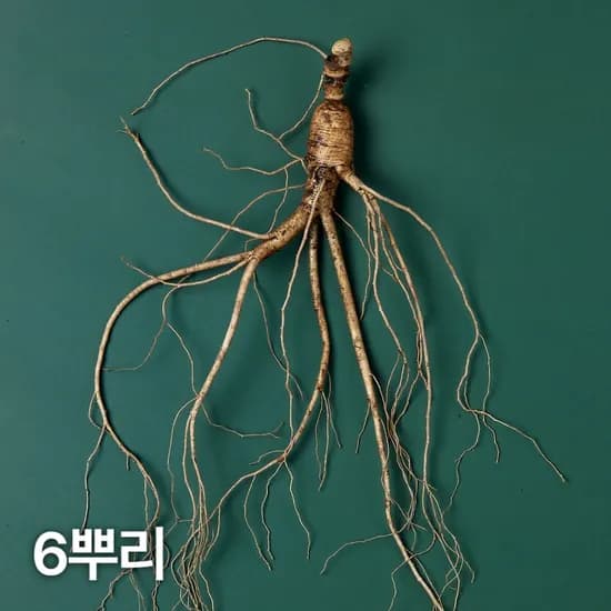 10년근 산양산삼 6뿌리 산양삼 장뇌삼