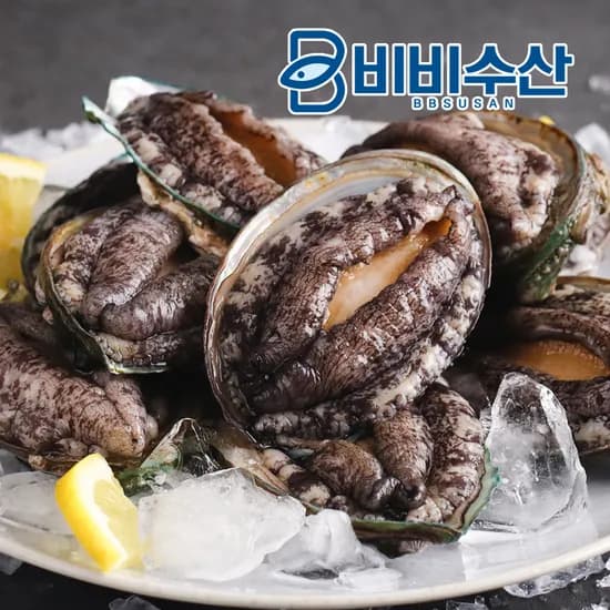 산지직송 살아있는 완도전복 활전복 1kg  산소포장 선물세트 손질 칼 포함